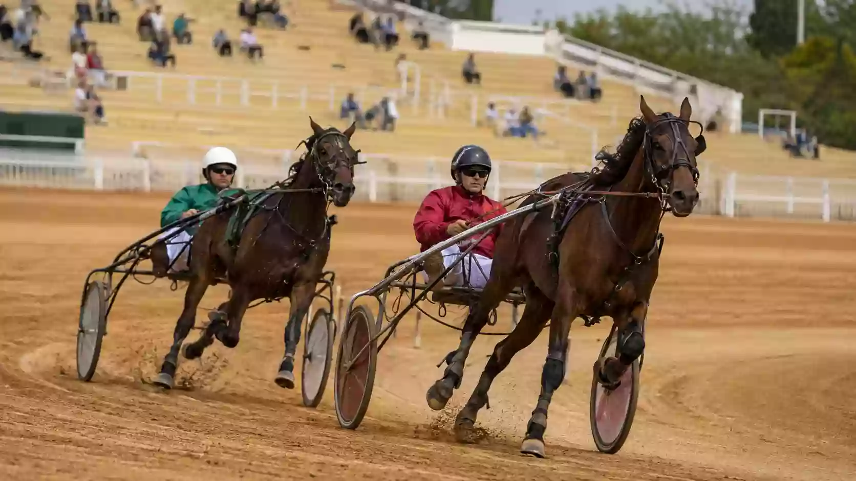 Trottatori in pista durante una giornata feriale di trotto italiano